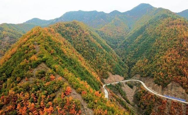 卢氏鸡湾水库最新消息：卢氏鸡湾水库动态速递