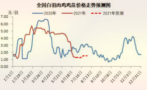 最新肉毛鸡市场价格动态