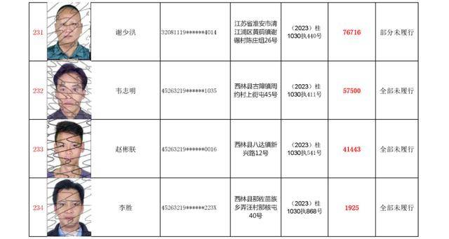 浙江龙泉最新老赖名单｜龙泉市最新失信被执行人名单揭晓