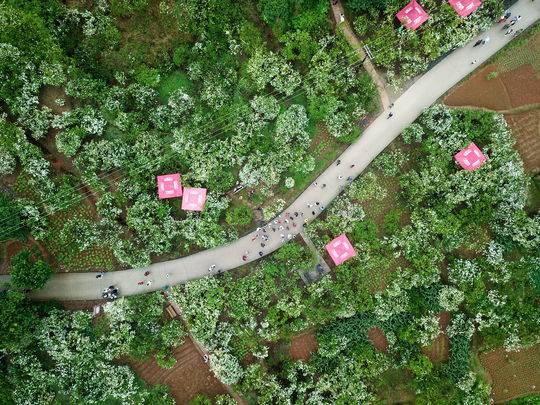 宜宾最新钓鱼的地方-宜宾钓鱼新去处揭晓