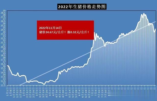 今日猪价喜报频传，最新上涨行情一览无遗