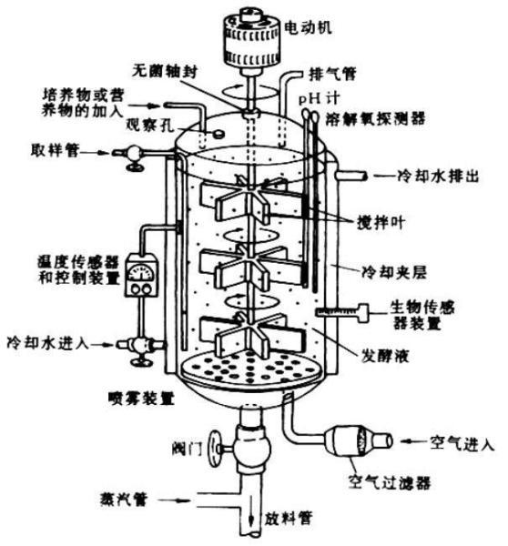 创新活力液体菌种培育神器