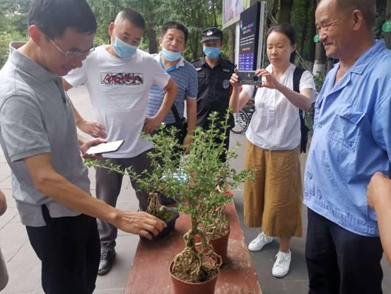 璀璨新生，花语盈怀——最新生日花礼精选