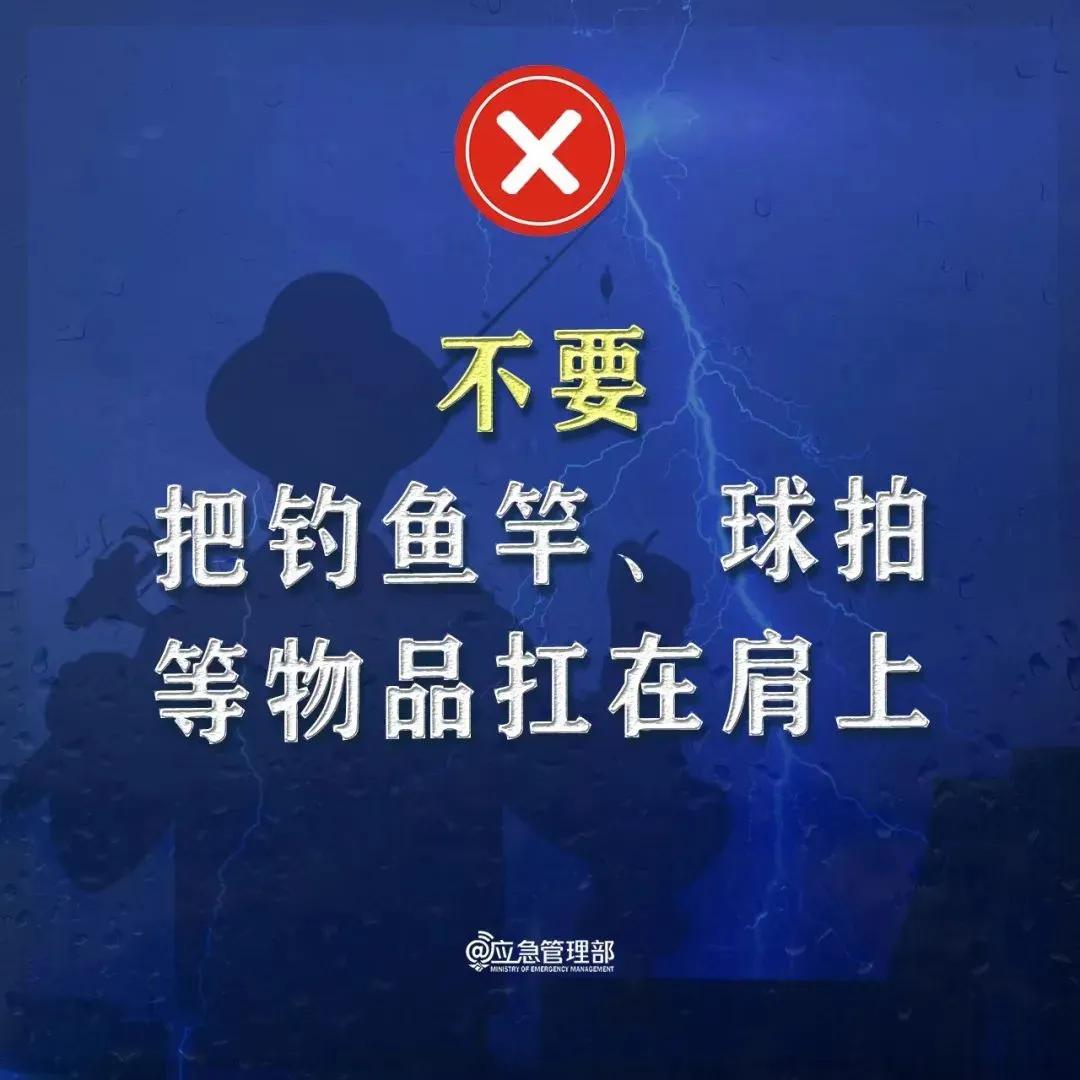 沈阳八则最新资讯解读